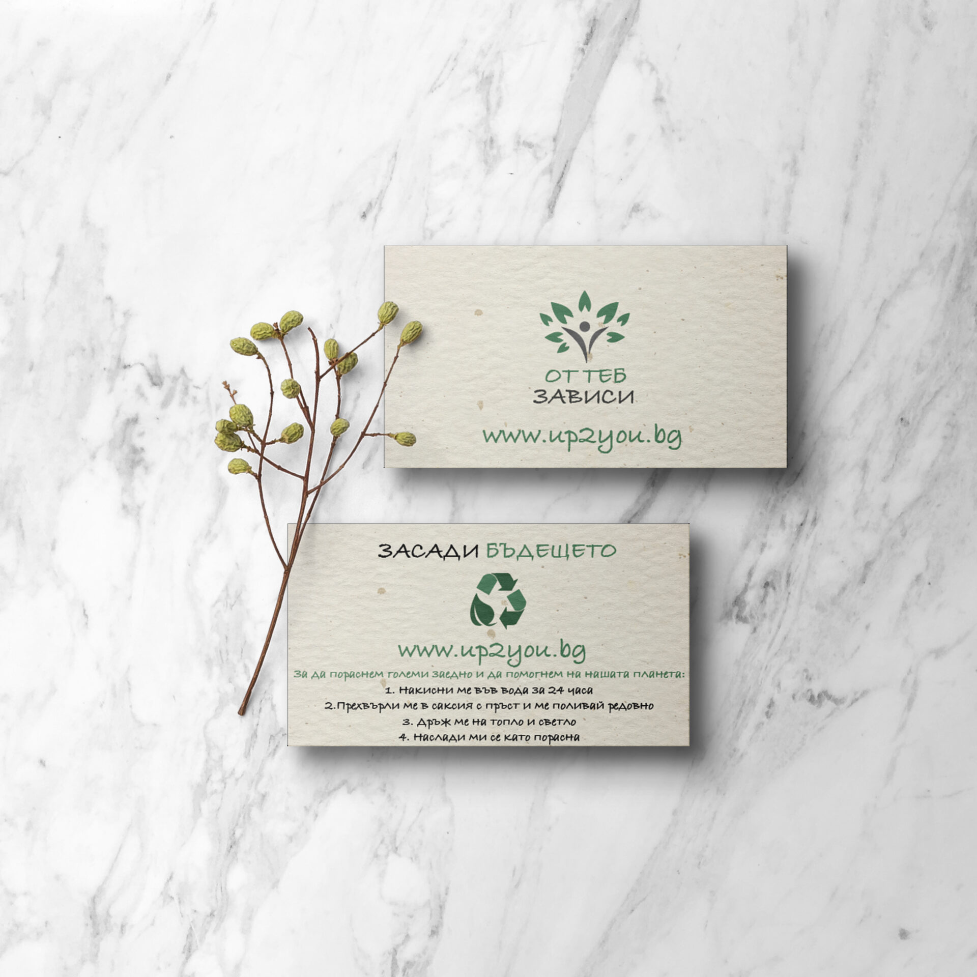 Card seeds mock up